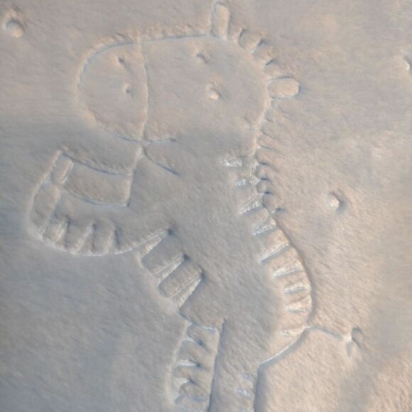 Plush Fleece Fabric Nursery Animal Pattern 3 Yards 60" Wide - Picture 1 of 4